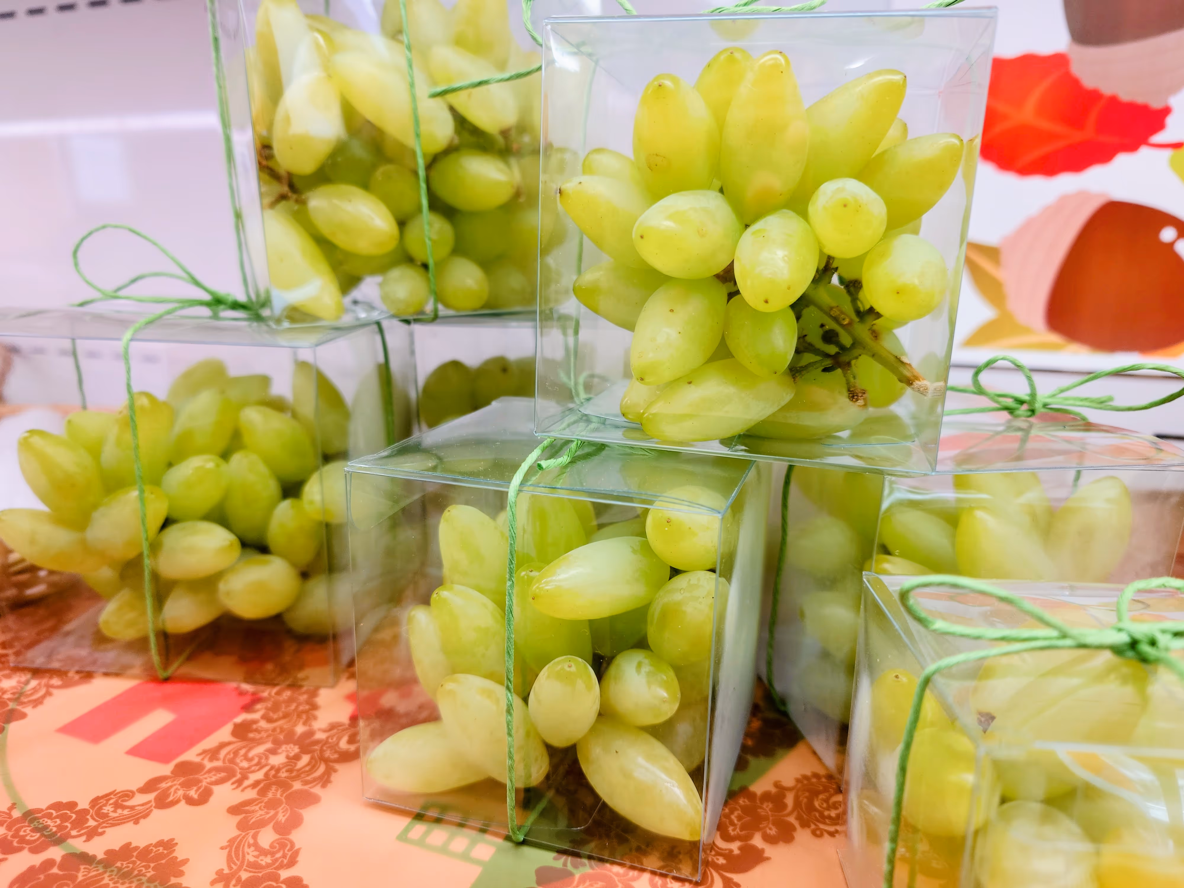 フルーツライン画像