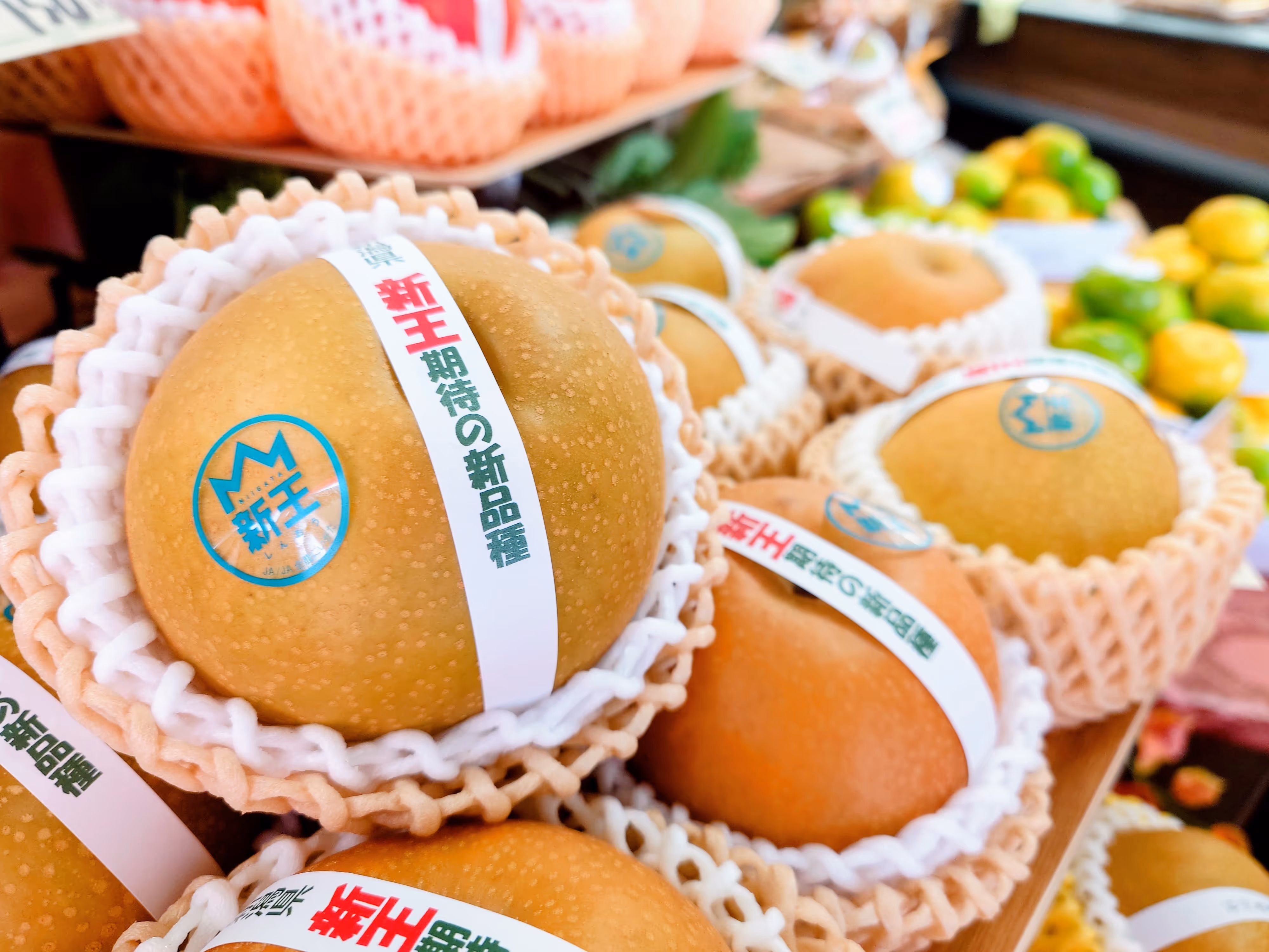 フルーツライン画像